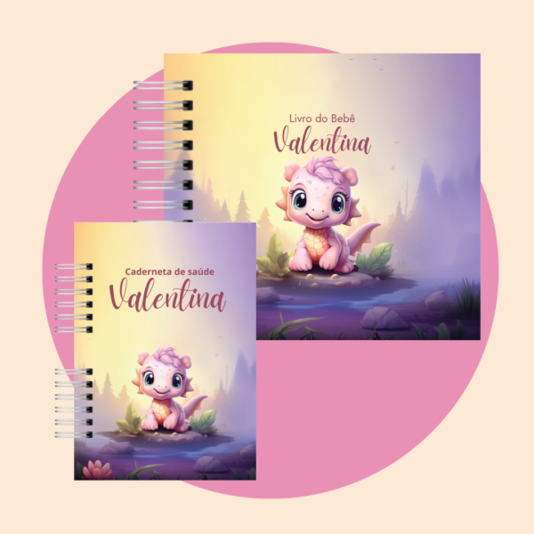 Combo Livro do Bebê e Caderneta de Vacina